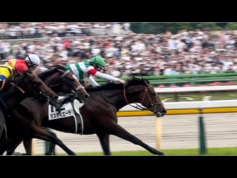 【2023ダービー馬はタスティエーラ！皐月賞の雪辱果たす】#第90回日本ダービー　#タスティエーラ #ソールオリエンス　#ハーツコンチェルト