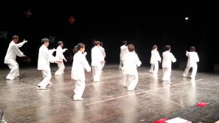 20131124 42式表演 婦女會 藝術高中