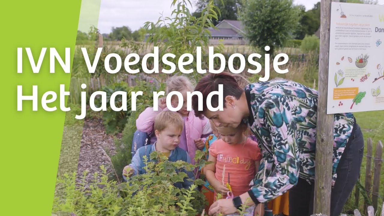 IVN Voedselbosjes - Een jaar rond