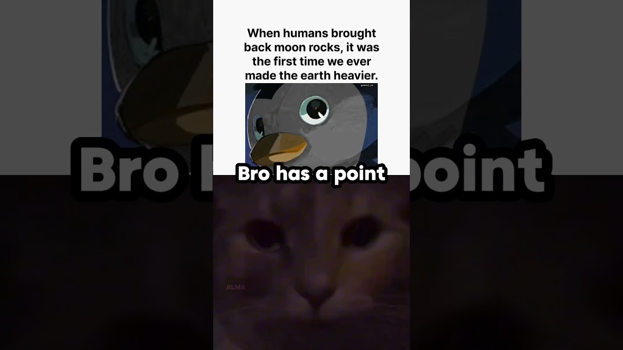 Bro got a point frfr 😳 