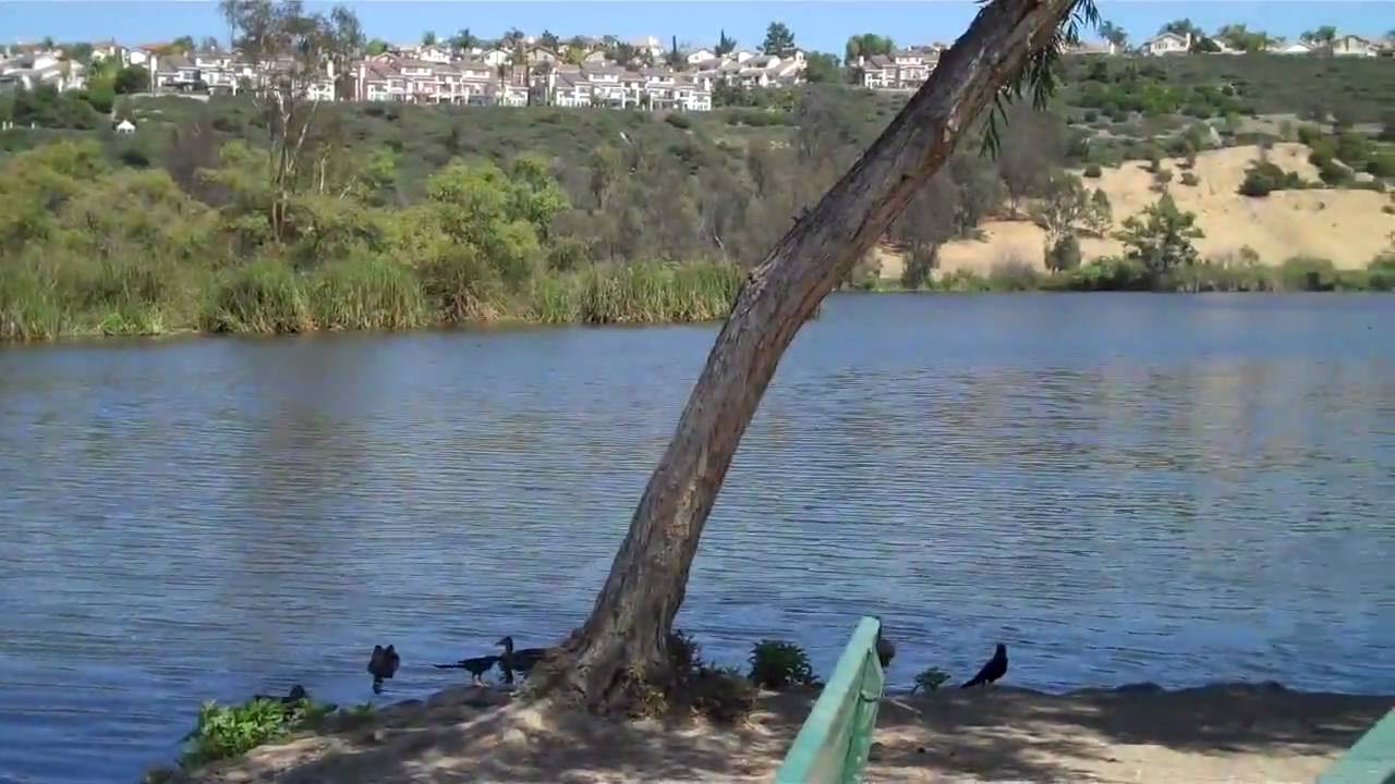 Laguna Niguel Regional Park - Wcities