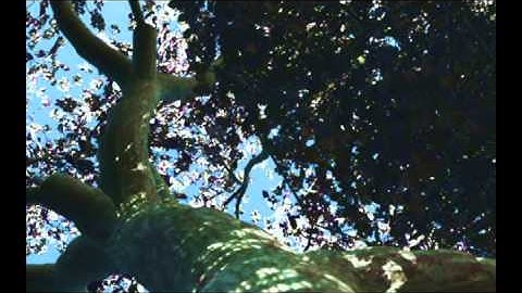 Visual Simulation of Trees Swaying by Controllable Wind Field