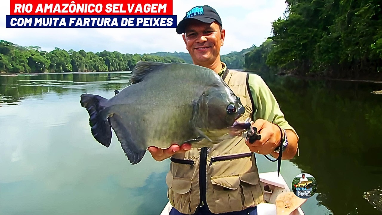 PIRANHA PRETA, CORVINAS GIGANTES E PESCARIA RAIZ COM CANIÇO EM UM GRANDE RIO SELVAGEM NA AMAZÔNIA