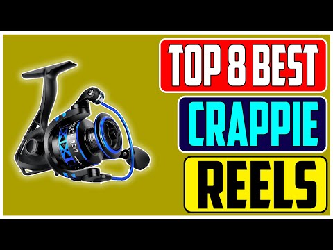 Reel in Success The 8 Best Crappie Fishing Reels for 2023 