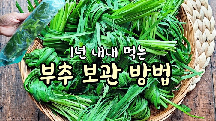 부추 1년내내 무르지 않고 보관하는방법! 부추냉동보관 & 부추냉장보관방법