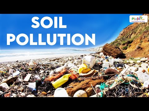 Video: Human pollution of the soil and its consequences. Soil pollution assessment