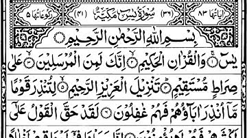 সূরা আর রহমান(Surah Ar Rahman-سورة الرحمن) ও সূরা ইয়াসিন(Surah Yaseen-سورة يس) এর কুরআন তিলাওয়াত, 14