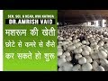 शुरू से सीखो मशरूम की खेती शुरू कैसे करे I Mushroom cultivation in india