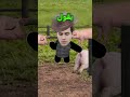 هذا اخطر خنزير في العالم Shortvideo 