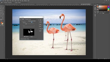 Bài 20 Sử dụng chức năng Color range để tạo vùng chọn