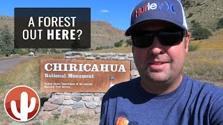 Bonita Canyon Campground Review | CHIRICAHUA NATIONAL MONUMENT