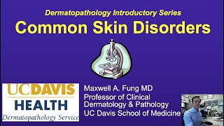 DERMATOPATHOLOGY: Common Skin Disorders screenshot 4