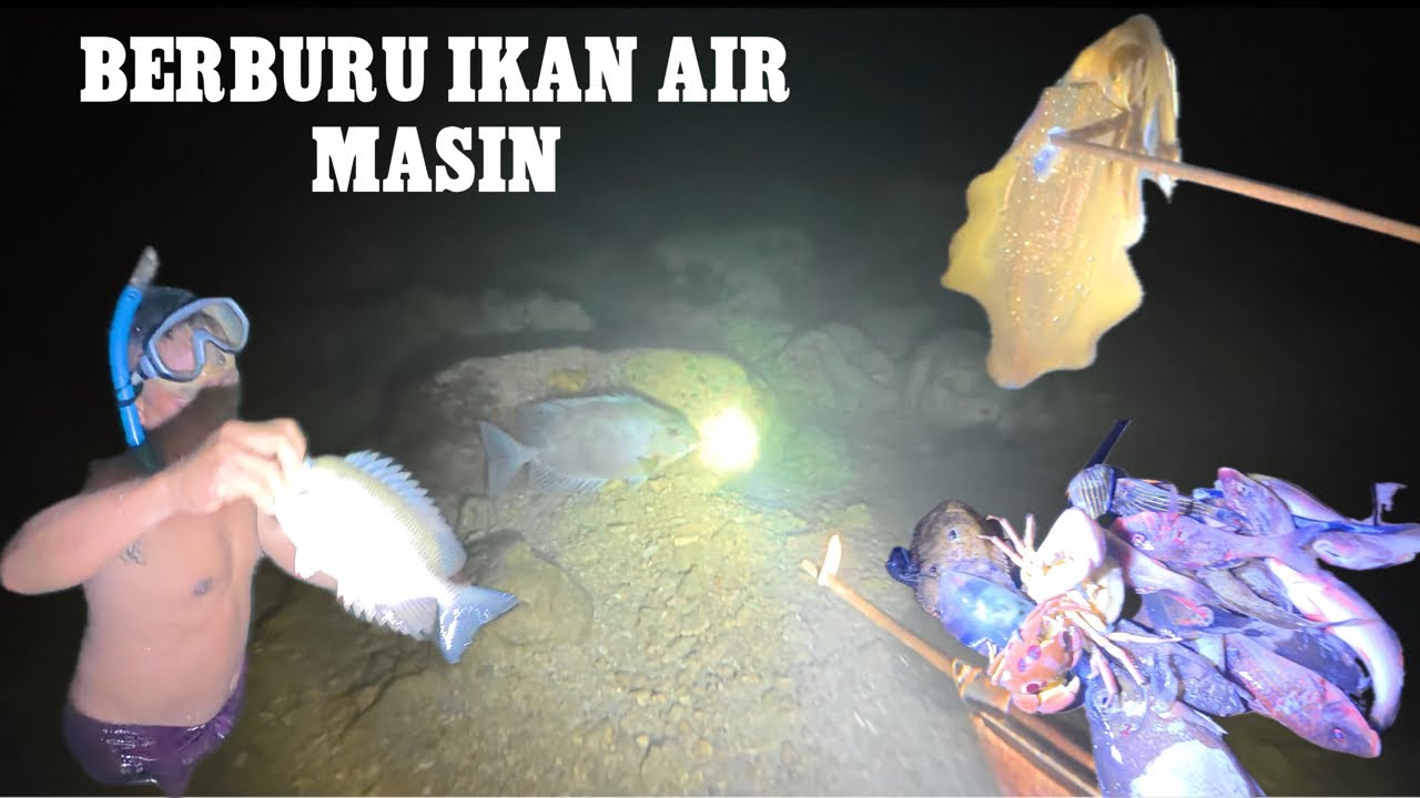BERBURU IKAN AIR MASIN PADA WAKTU MALAM //  REZEKI..,,! HASILNYA CUKUP BUAT LAUK