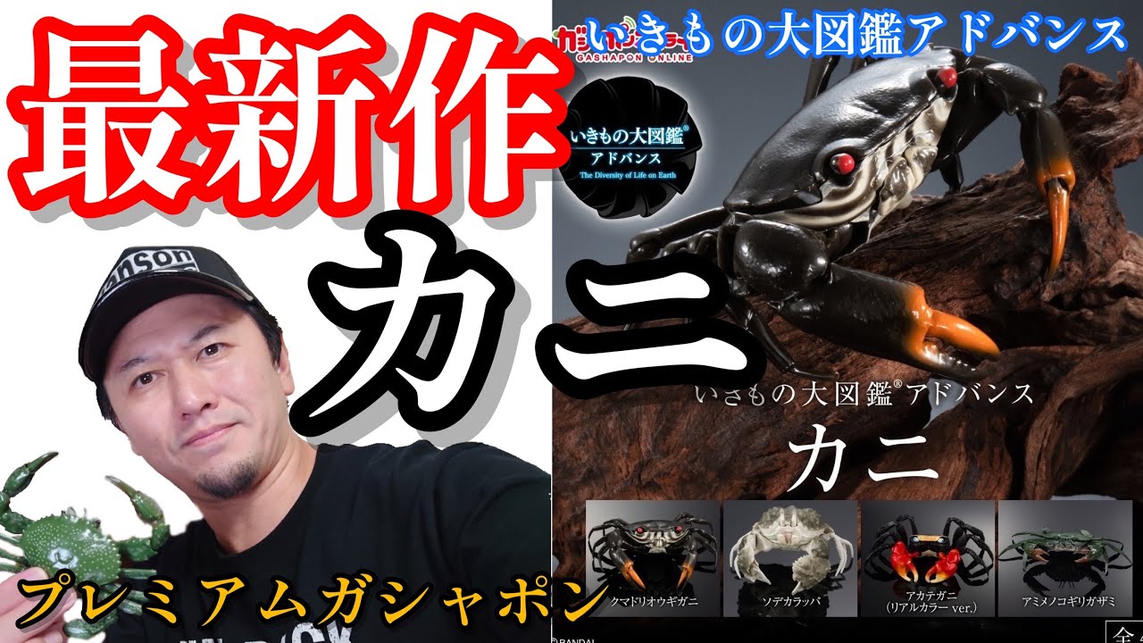 Gachapon] Creatures Encyclopedia Advance 