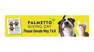 All4Paws: CurtisWard on Palmettto Giving Day