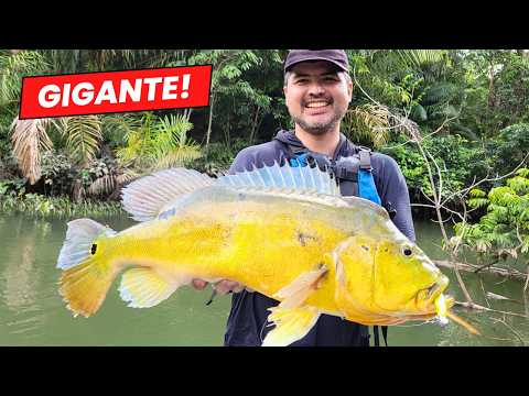 THIS BAIT CATCHES EVERYTHING, INCLUDING GIANT TUCUNARES