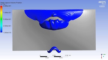 3D Twist11 (modified) Cavitation Simulation Top View - Cluster Run 2