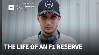 What has Esteban Ocon been doing as reserve driver at Mercedes? Content