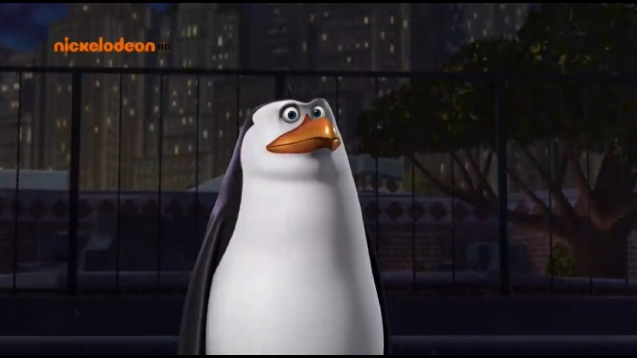 Rico funny moments pl