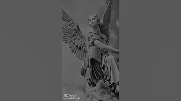 capcut mẫu 2 ảnh