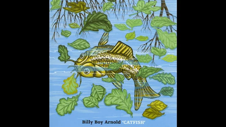 Billy Boy Arnold - Catfish (Full album)