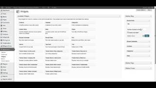 Themis - Responsive Law Business WordPress Theme: Deleting unused widgets