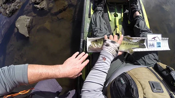 River Bassin Tournament Trail: How to measure and score your fish.