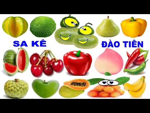 Video Câu đố vui về hoa quả trái cây ❤️ Đố vui cho bé ❤️ - youtube