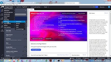 Pega Designer Studio,  Pega Class 2