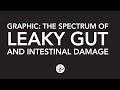 Graphic: The Spectrum of Leaky Gut and Intestinal Damage