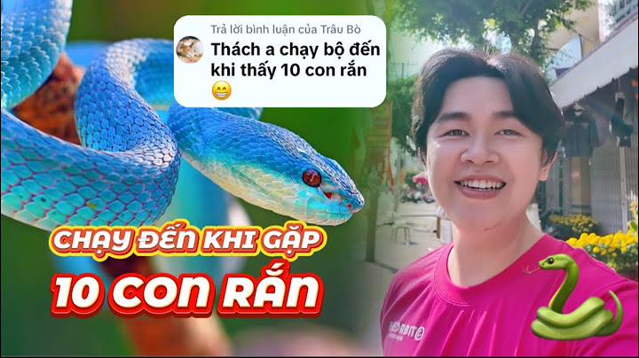 [FULL] Thử Thách: Chạy Đến Khi Gặp 10 Con Rắn - Tết 2025 - TP. Long Xuyên