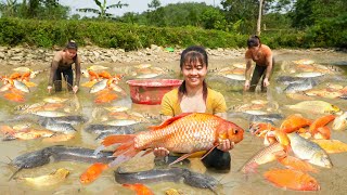 Drain The Pond and Harvesting A Lot Of Fish For Sell (Help Ly Tieu Toan) | Phương Free Bushcraft