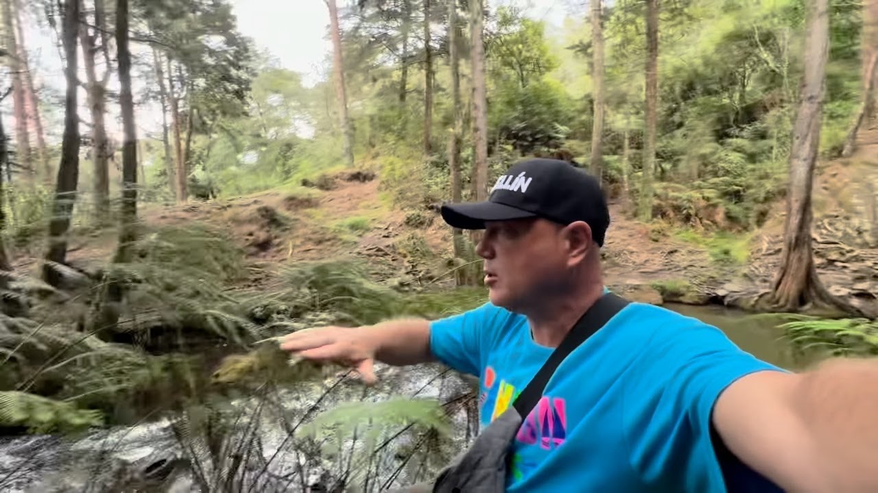 Medellín La ciudad de la Eterna Primavera.