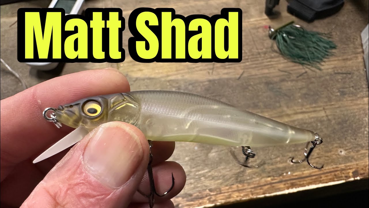 When The “Matt Shad” Color Catches More Bass Than ANY Other Color…
