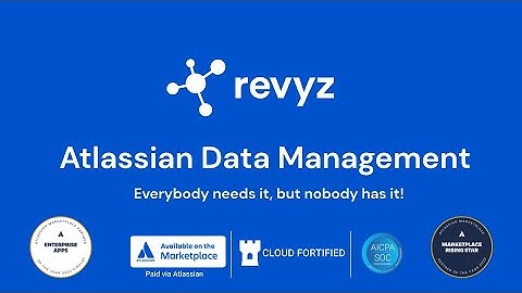 Revyz Data Manager for Jira