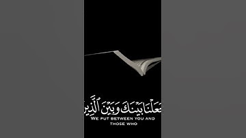 تلاوات قرانية تريح بالك
