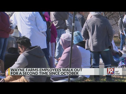 Wayne Farms Employees Walk Out For A Second Time Since October