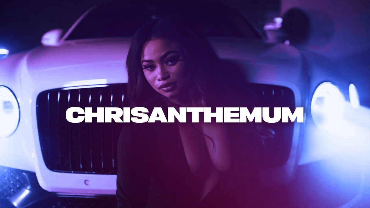 "CHRYSANTHEMUM" Lil Tjay x Fivio Foreign x Ice Spice type beat YouTube