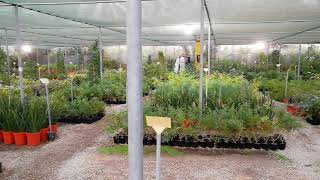 Green House Nursery