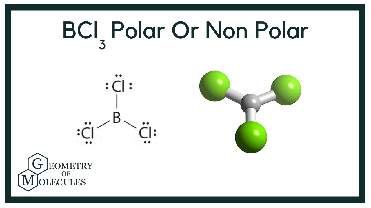 Bcl3 é Polar Ou Apolar - ENSINO