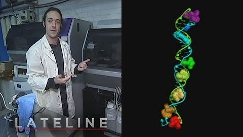 Bio-hacking: Democratised science, or engineered viruses