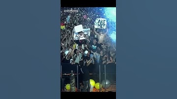 Steve Aoki doesn’t miss part 2 😍🎂 #shorts  #edm #steveaoki
