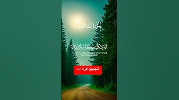 سورة الماعون || ارأيت الذي يكذب بالدين #اكسبلور #راحة_نفسية
