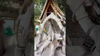 Guadalupe River Houses In New Braunfels Texas