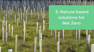 3. Nature Based Solutions for Net Zero