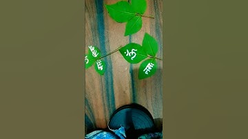 बेलपत्र पर षडाक्षर ओम नमः शिवाय चंदन से लिखे और देखे चमत्कार#सावन में बेलपत्र #Shorts#youtube