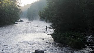 How to catch and release  Fly fishing for salmon and sea trout in flowing water