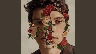 Video thumbnail of "Shawn Mendes - Perfectly Wrong"