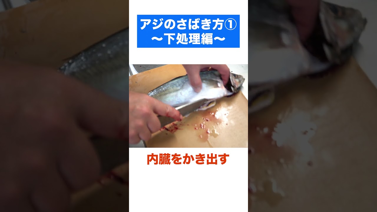 アジのさばき方①　〜下処理編〜