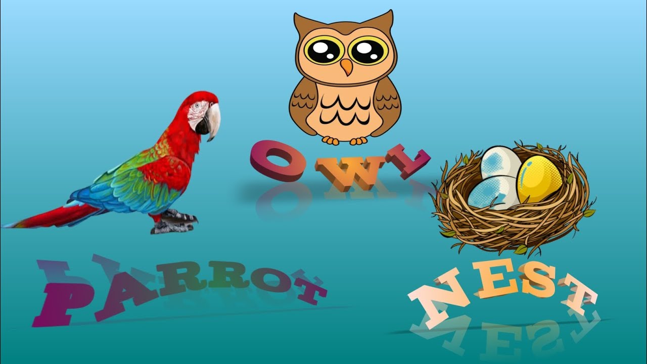 kids-learning-alphabets-abcd-by-practicing-it-children-can-learning